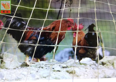 Dostosowane przezroczyste plastikowe ogrodzenie dla drobiu z kurczaka, plastikowe ogrodzenie dla drobiu, wysoka wytrzymałość na rozciąganie, 1,5 m wysokości