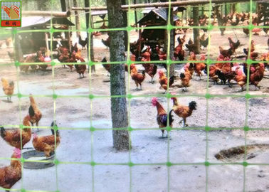 Zielone ogrodzenie z siatki z tworzywa sztucznego do zapobiegania ptakom i kurczakom i bażantowi, plastikowe siatki drobiowe, wysokość 1 m, materiały PP