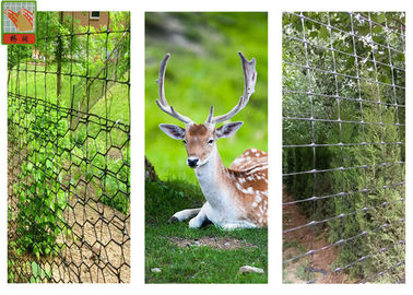 Deer Barrier, Deer Fence Siatka, materiały PP, wytłaczane plastikowe siatki, wysokość 100 metrów